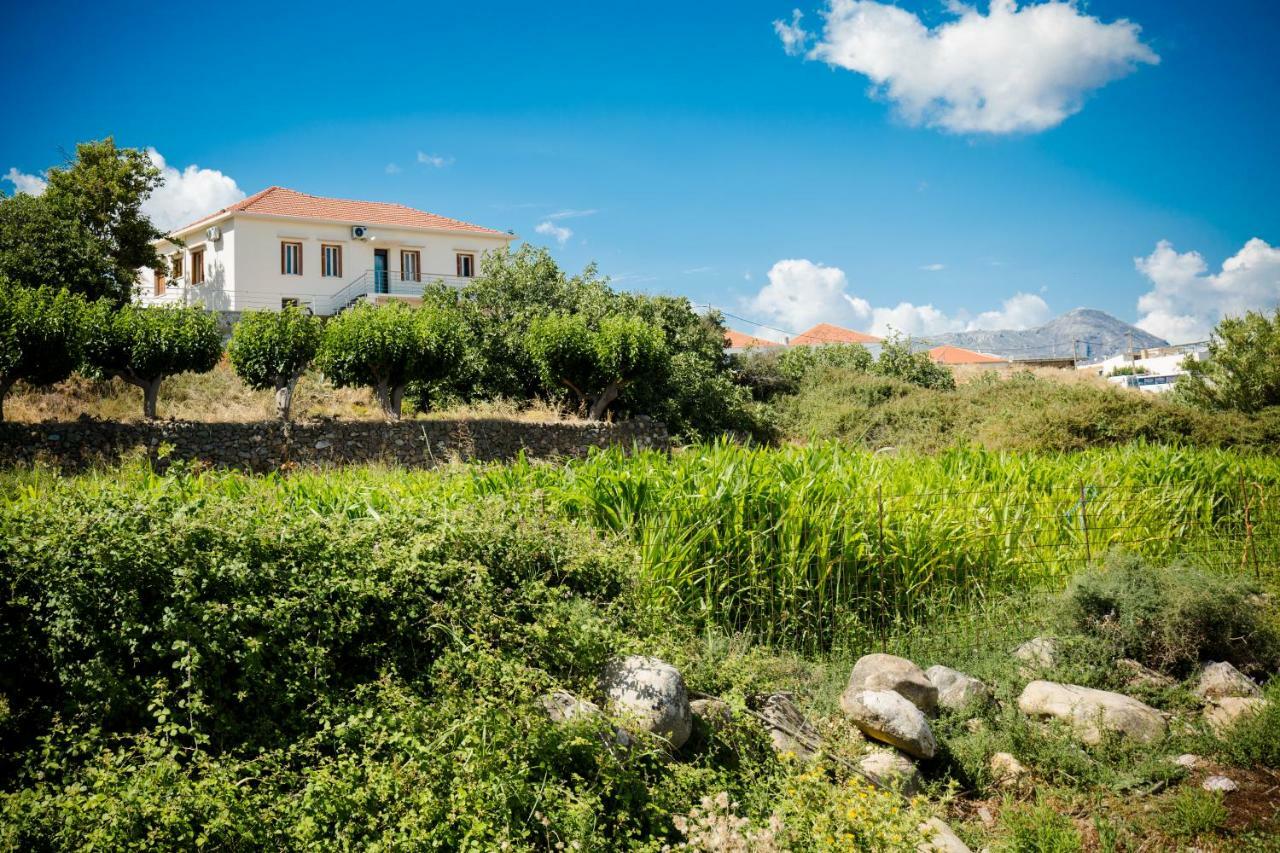 Villa Alexandra Kíssamos Exteriér fotografie